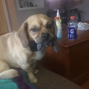 Meet your Posher, Shane